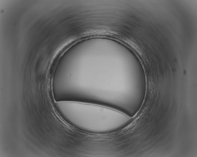 X0000087551119200704270942