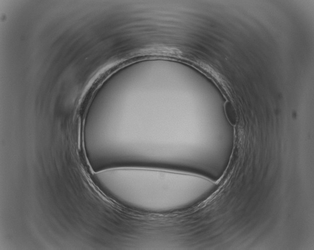 X0000087551123200704270942