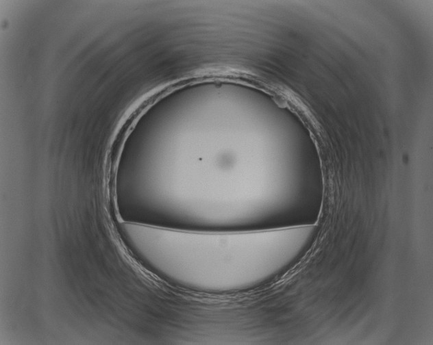 X0000087551124200704270942