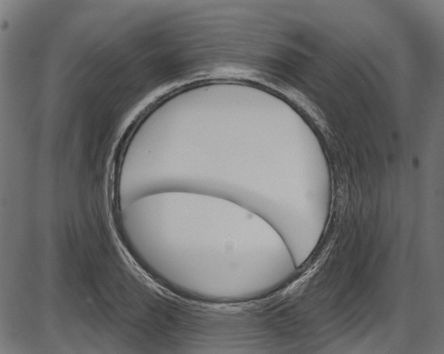 X0000087551126200704270942