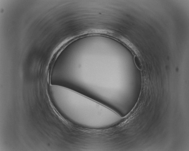 X0000087551127200704270942