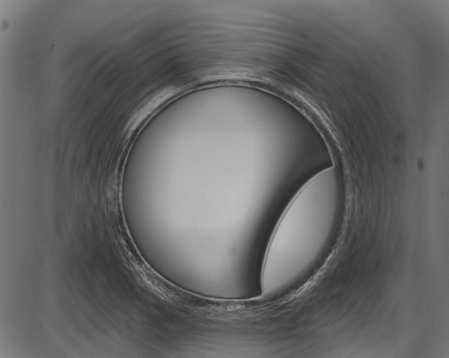 X0000087551129200704270942