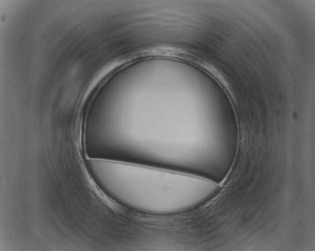 X0000087551131200704270942