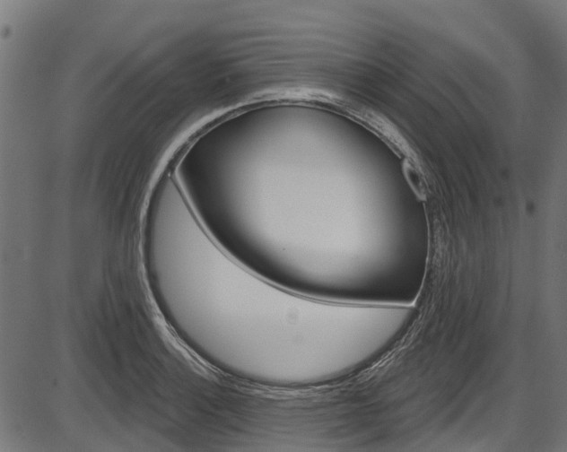 X0000087551132200704270942