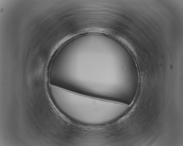 X0000087551133200704270942