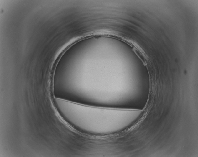 X0000087551134200704270942