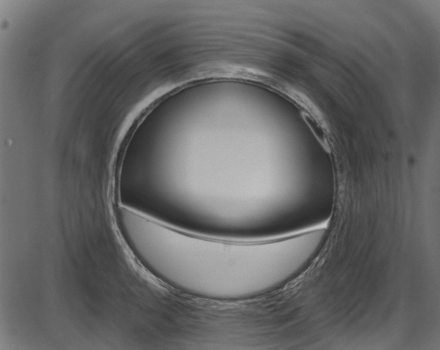 X0000087551136200704270942