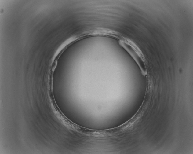 X0000087551138200704270942