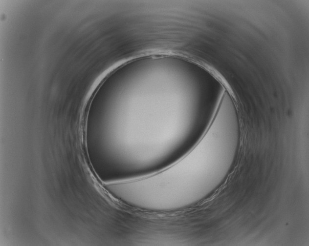 X0000087551148200704270942