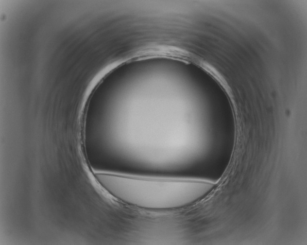 X0000087551152200704270942