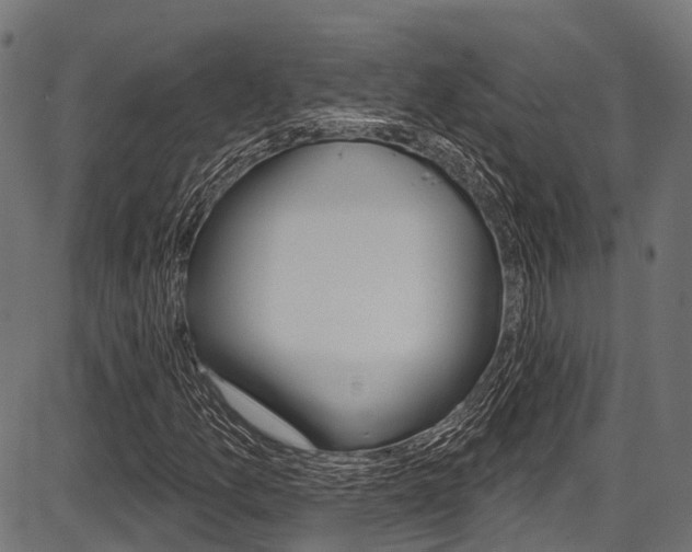 X0000087551157200704270941