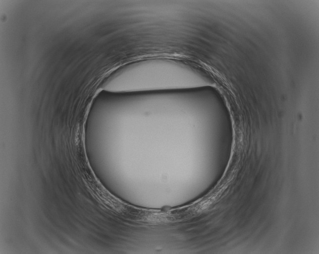 X0000087551161200704270941