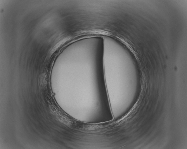 X0000087551163200704270941