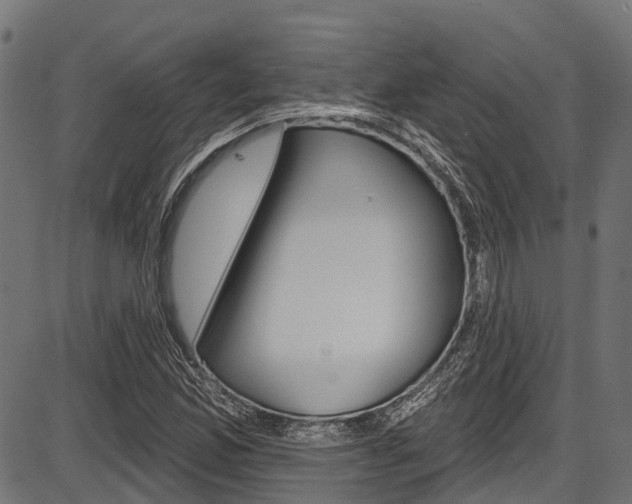 X0000087551165200704270941