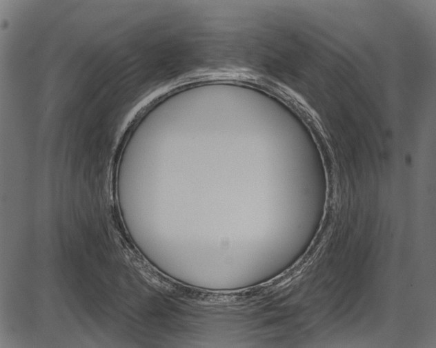 X0000087551174200704270941