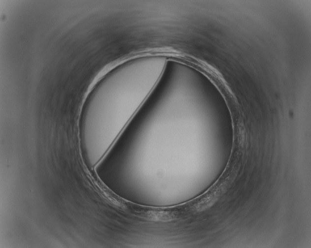 X0000087551176200704270941