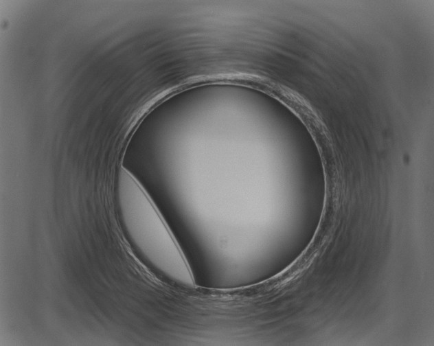 X0000087551177200704270941