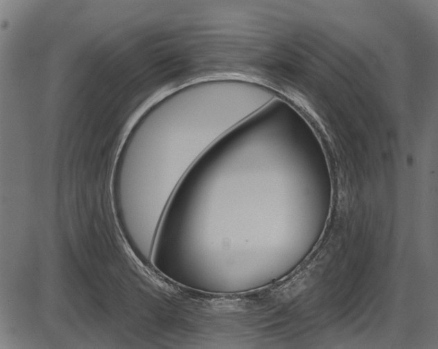 X0000087551181200704270941