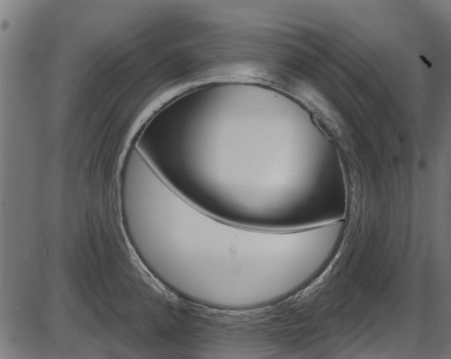 X0000087551192200704270941