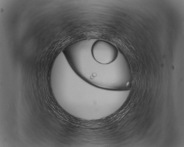 X0000087551201200704270940