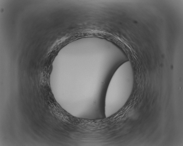 X0000087551207200704270940