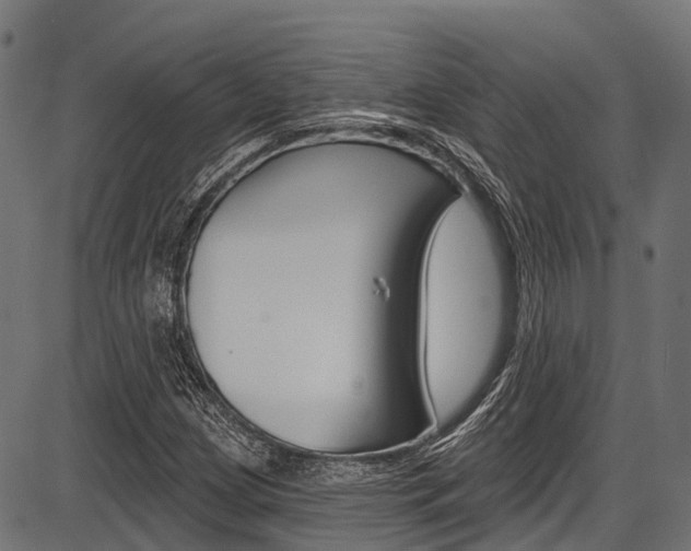 X0000087551209200704270940