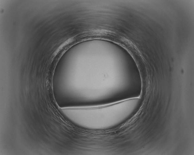 X0000087551210200704270940