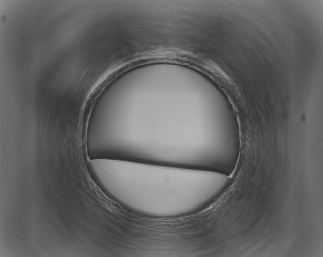 X0000087551216200704270940