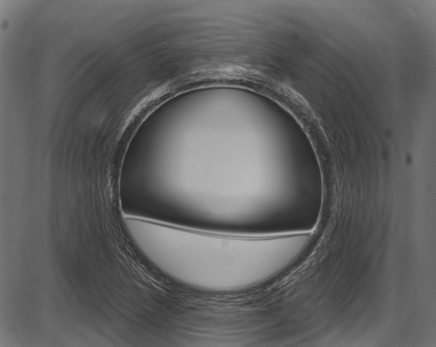 X0000087551218200704270940