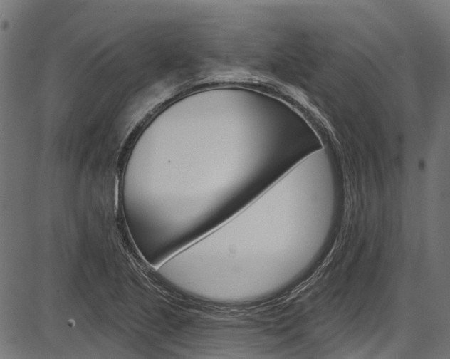 X0000087551221200704270940