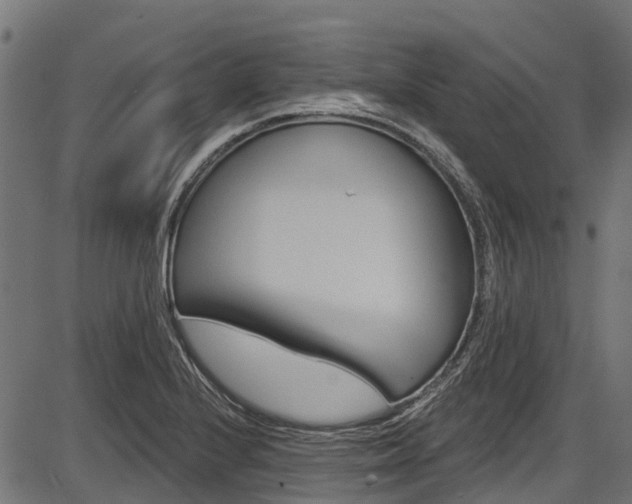 X0000087551224200704270940