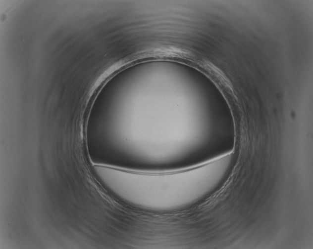 X0000087551226200704270940