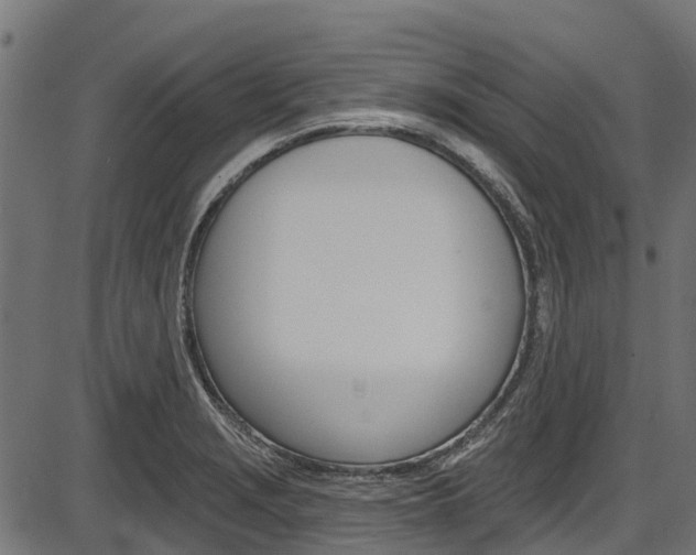 X0000087551229200704270940