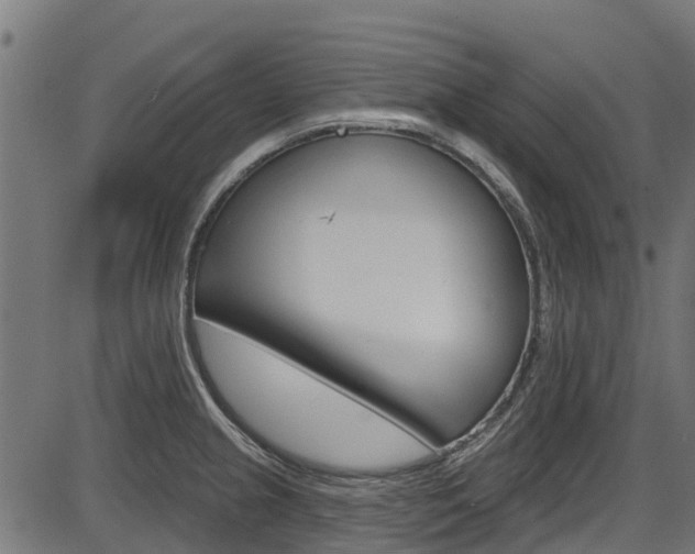 X0000087551237200704270941