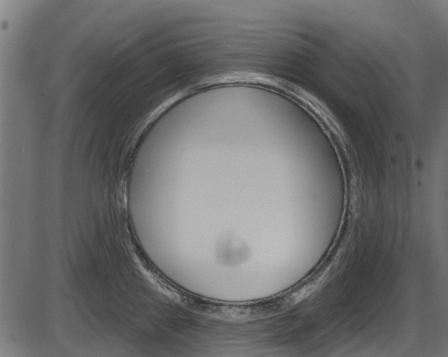 X0000087551241200704270941