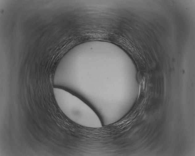 X0000087551251200704270940