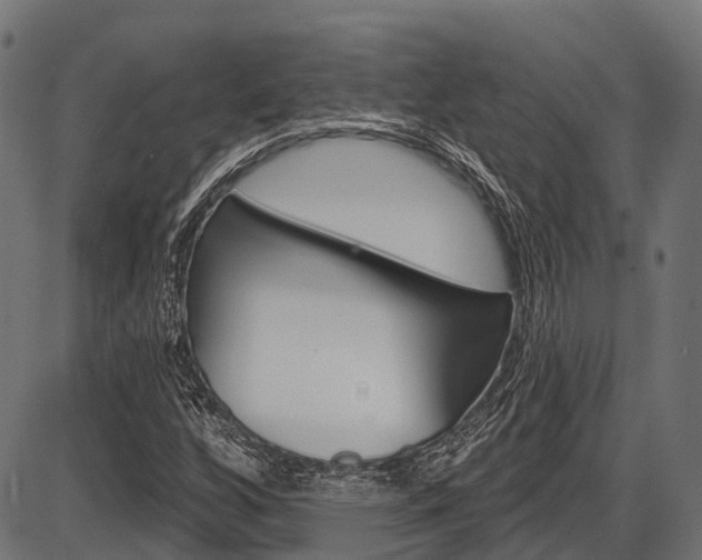 X0000087551256200704270940