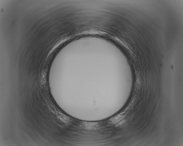 X0000087551258200704270940