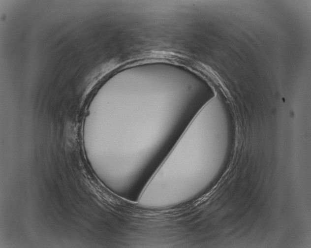 X0000087551260200704270940