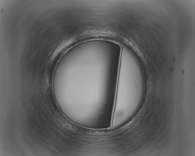 X0000087551261200704270940