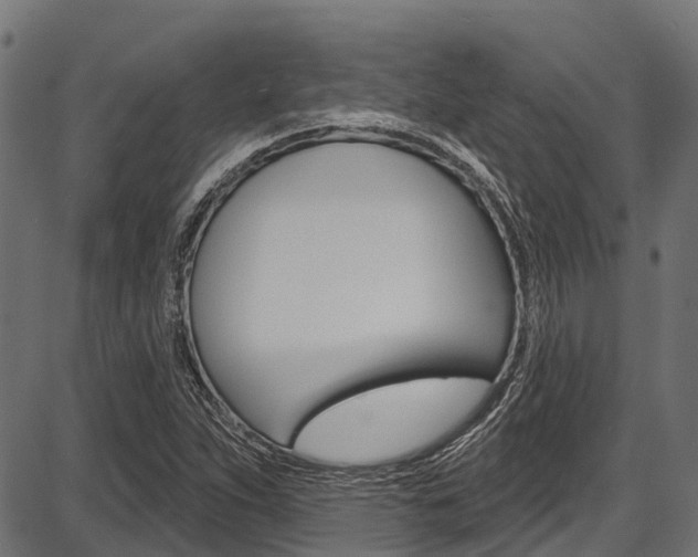 X0000087551263200704270940