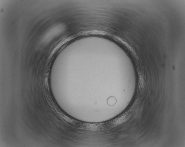 X0000087551266200704270940