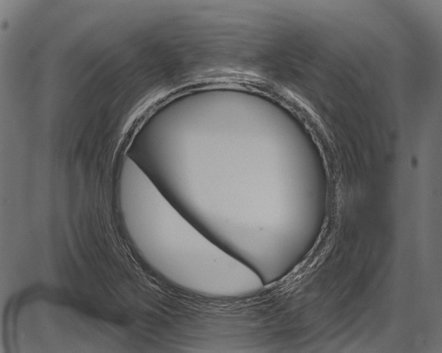 X0000087551267200704270940
