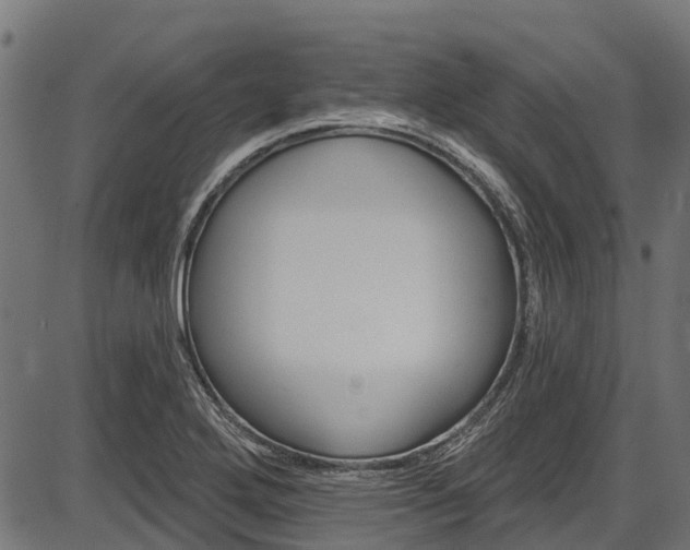 X0000087551272200704270940