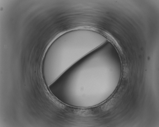 X0000087551284200704270939