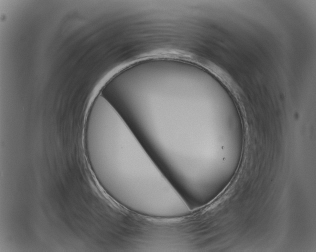 X0000087551296200704270939