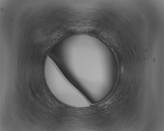X0000087551300200704270938