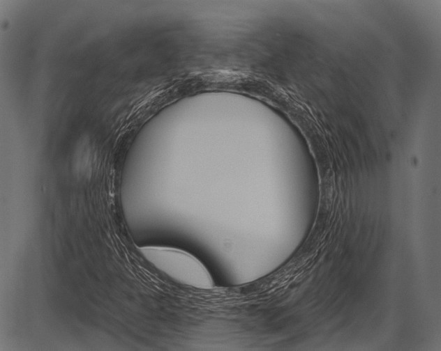 X0000087551301200704270938
