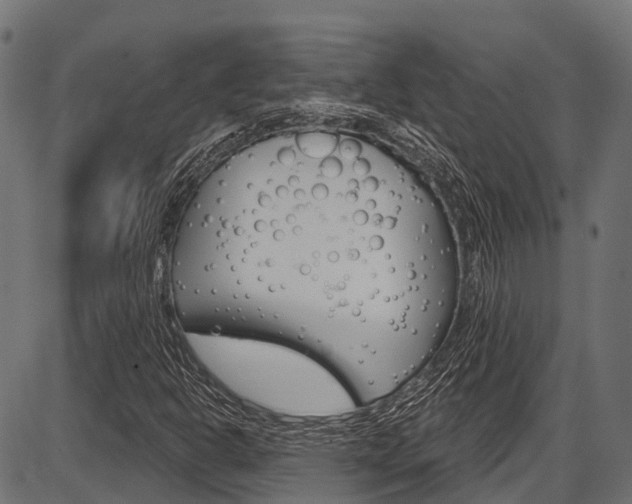 X0000087551302200704270938