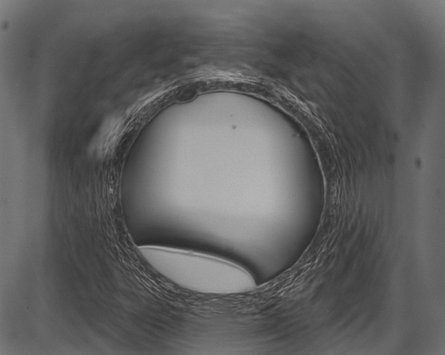 X0000087551303200704270938